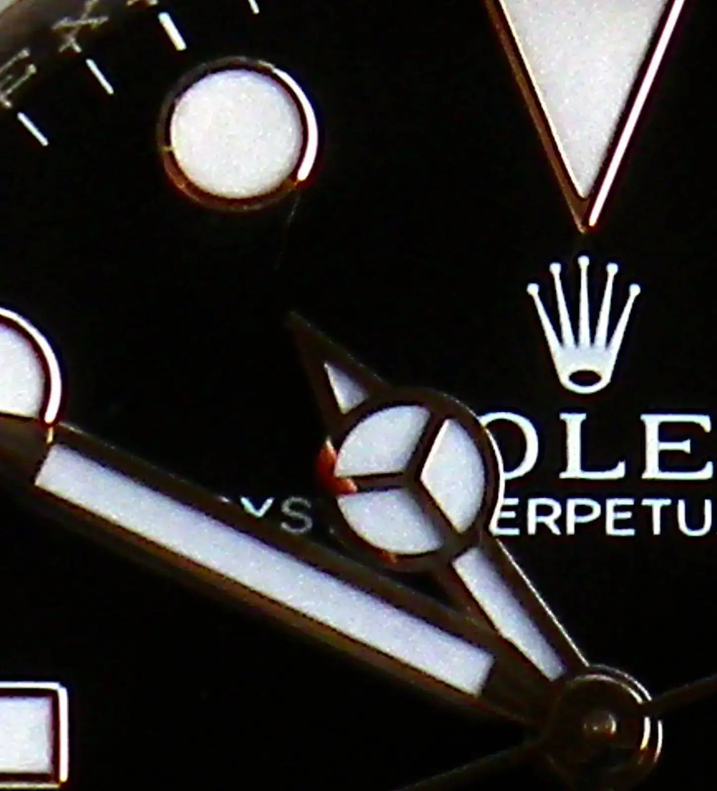 IMGP0089.webp