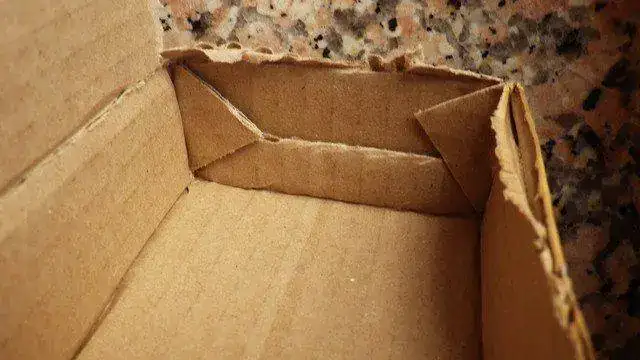 IMGP0262.webp