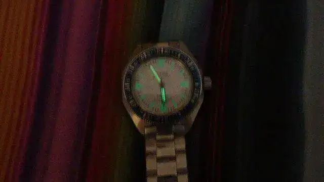 IMGP0273.webp