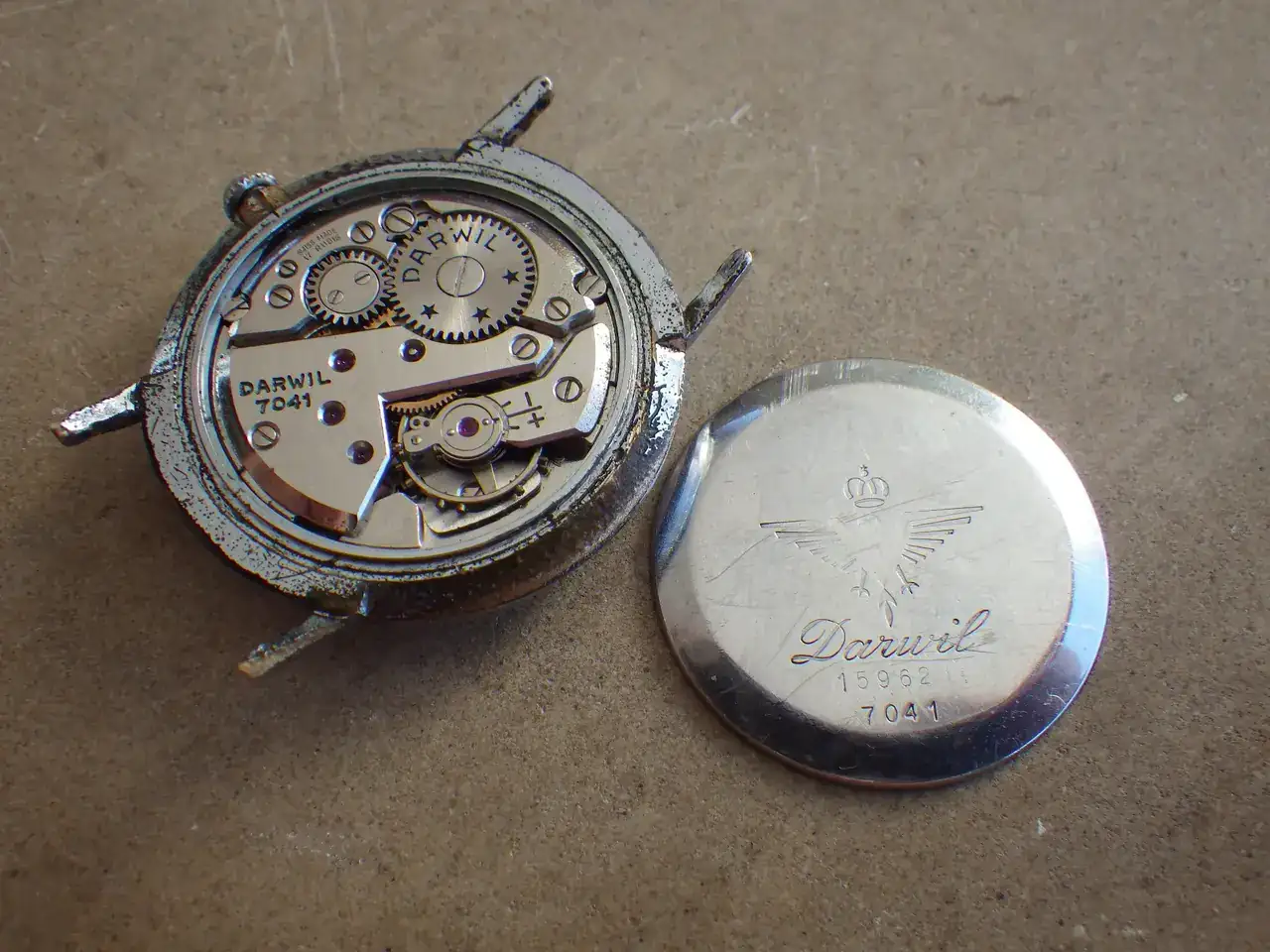 IMGP1046.webp