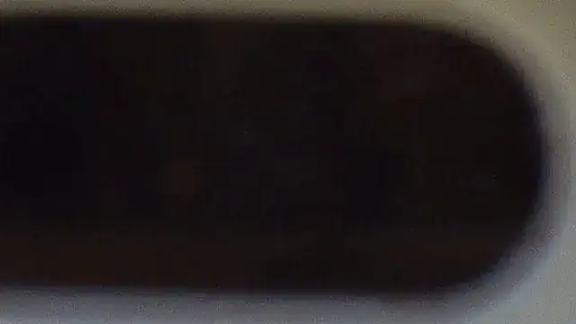 IMGP1217.webp