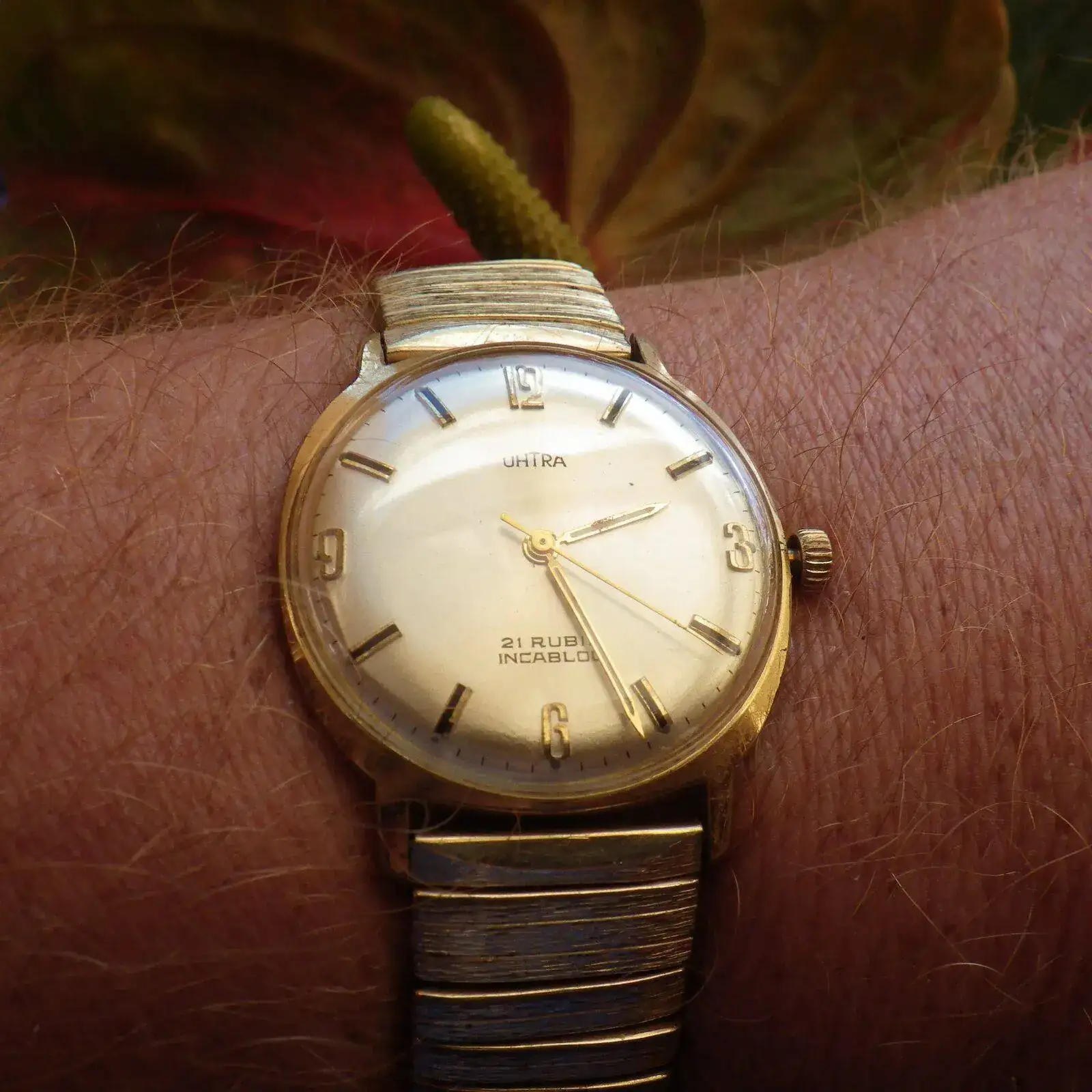 IMGP1276.webp