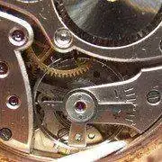 IMGP1317.webp