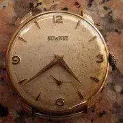 IMGP1321.webp