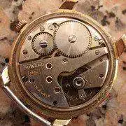 IMGP1322.webp