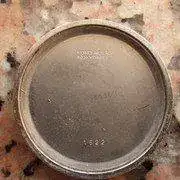 IMGP1323.webp