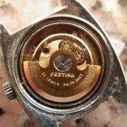 IMGP1330.webp