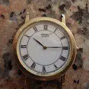 IMGP1335.webp