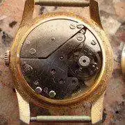 IMGP1340.webp