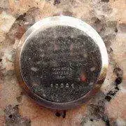 IMGP1341.webp