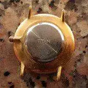IMGP1348.webp