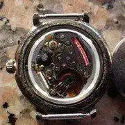 IMGP1355.webp