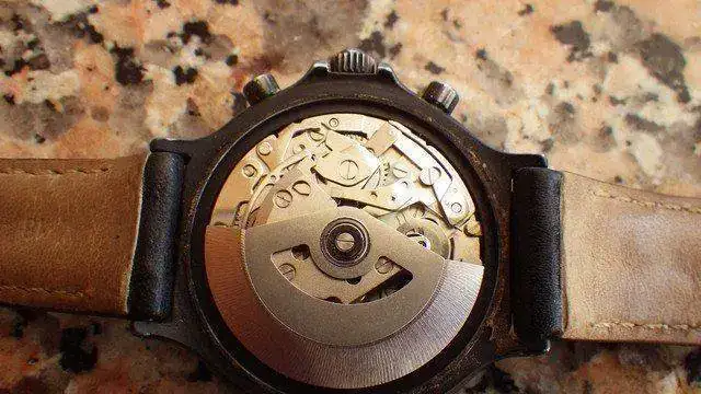 IMGP1431.webp