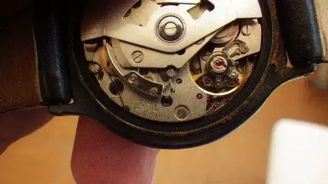 IMGP1440.webp