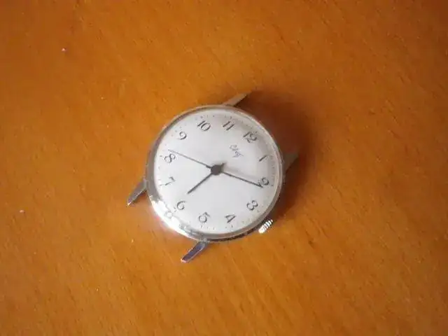 IMGP1578.webp