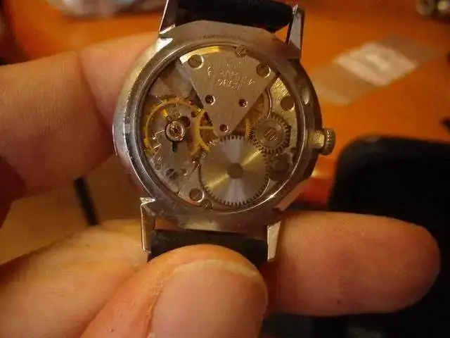 IMGP1579.webp