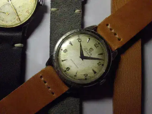 IMGP1890.webp