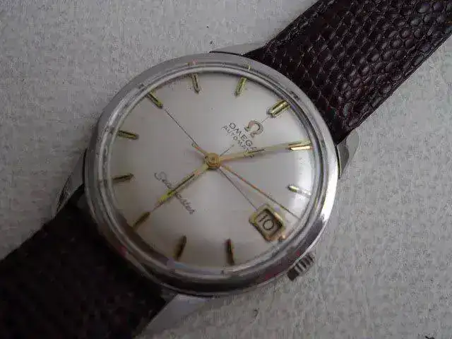 IMGP1977.webp