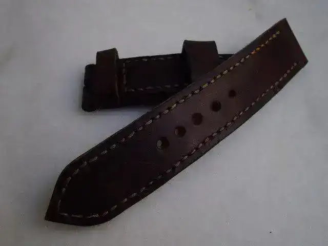 IMGP2081.webp
