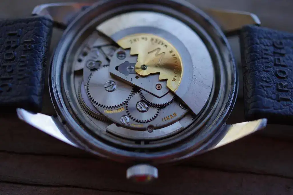 Wittnauer relojes especiales sale