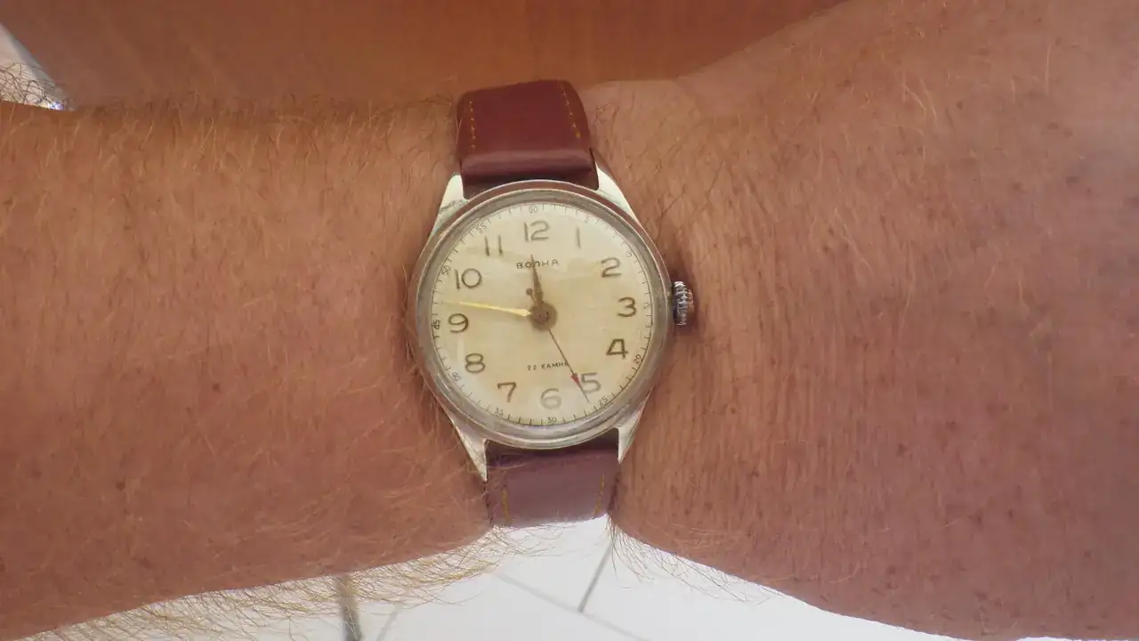 IMGP3161.webp
