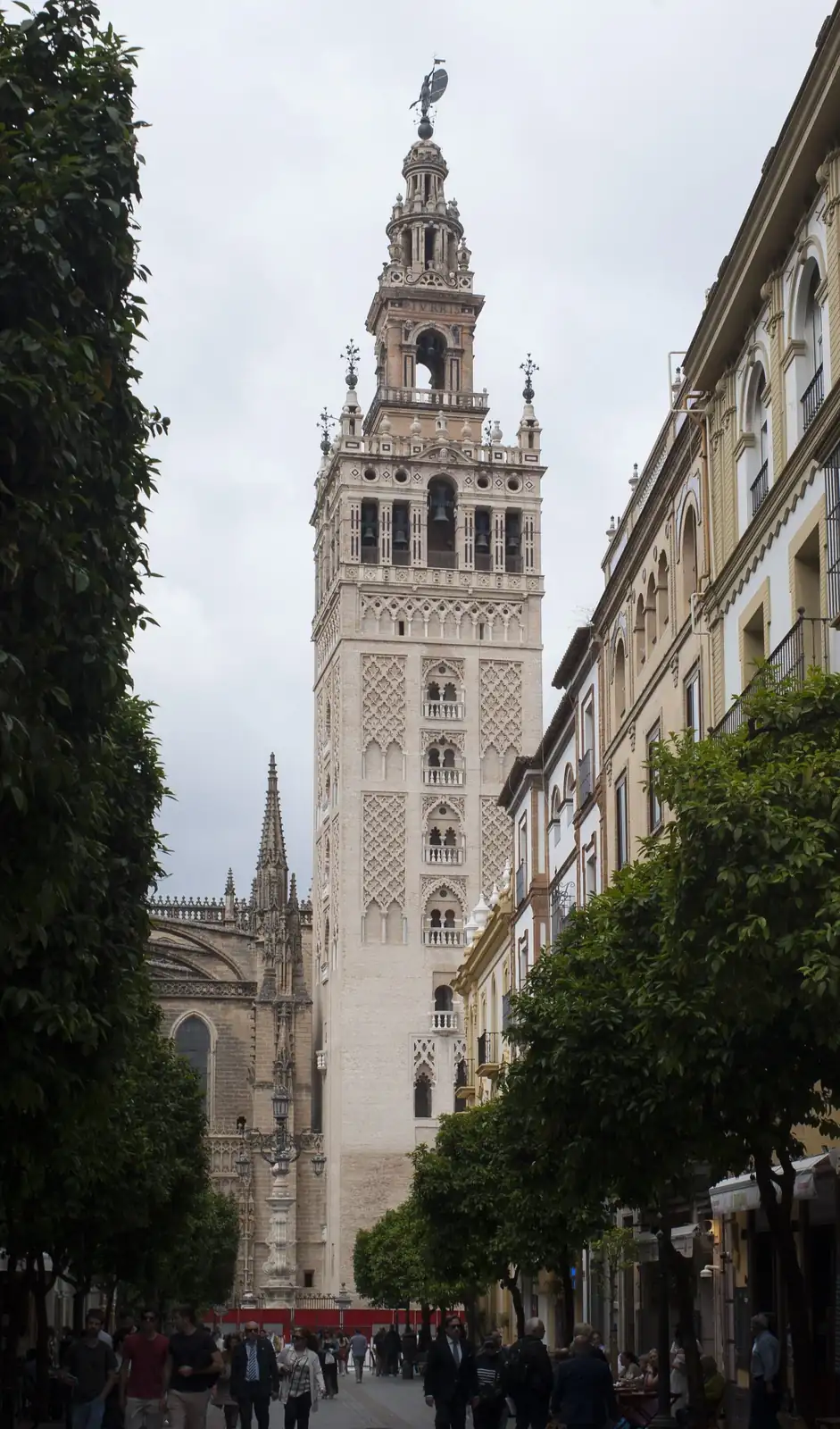IMGP3369.webp