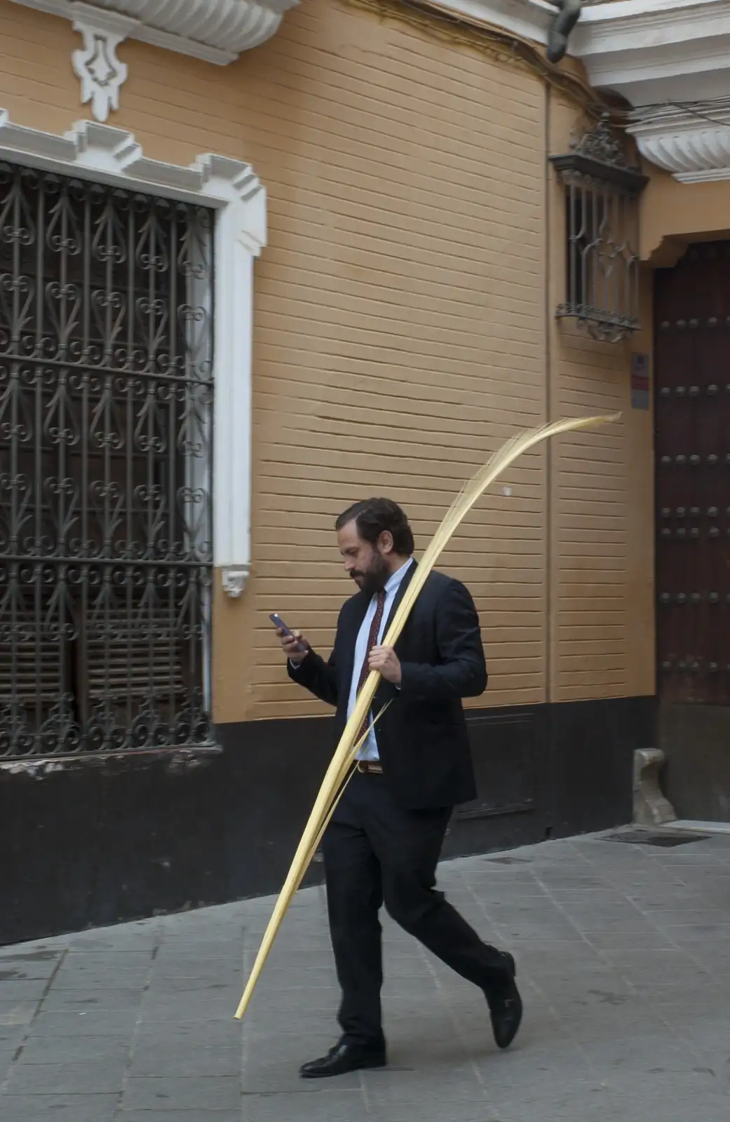 IMGP3370.webp