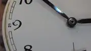 IMGP4014.webp