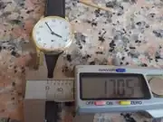 IMGP4030.webp