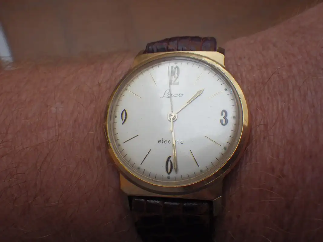 IMGP4219.webp