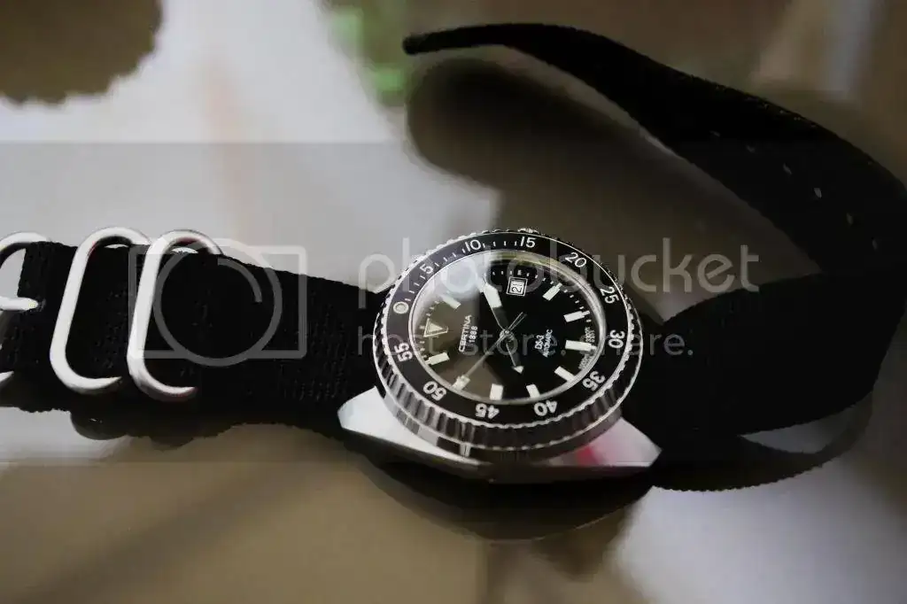 IMGP4245_zps5b9eb47f.webp