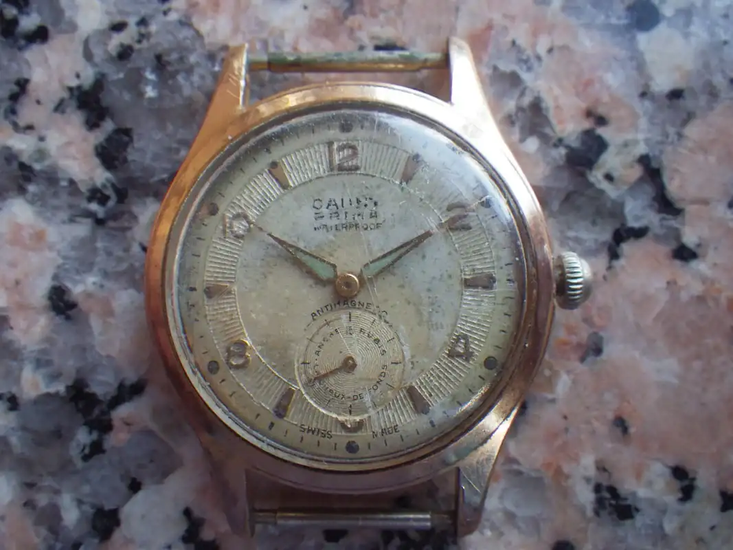 IMGP4500.webp
