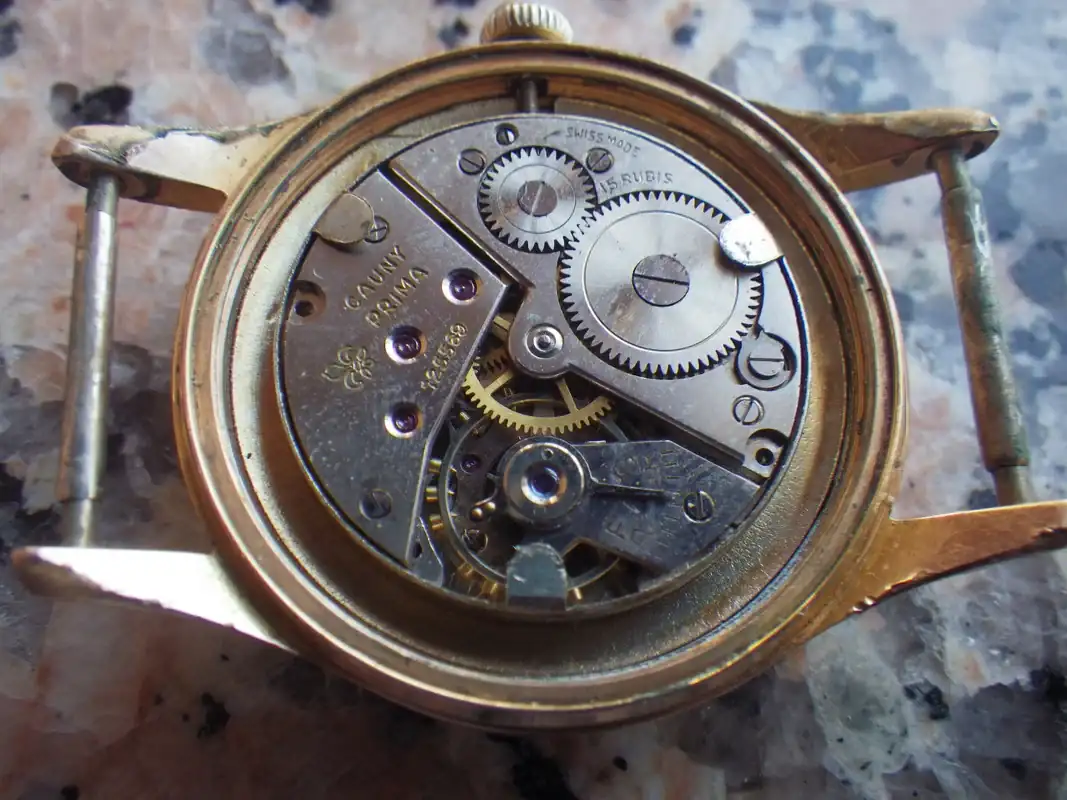 IMGP4508.webp