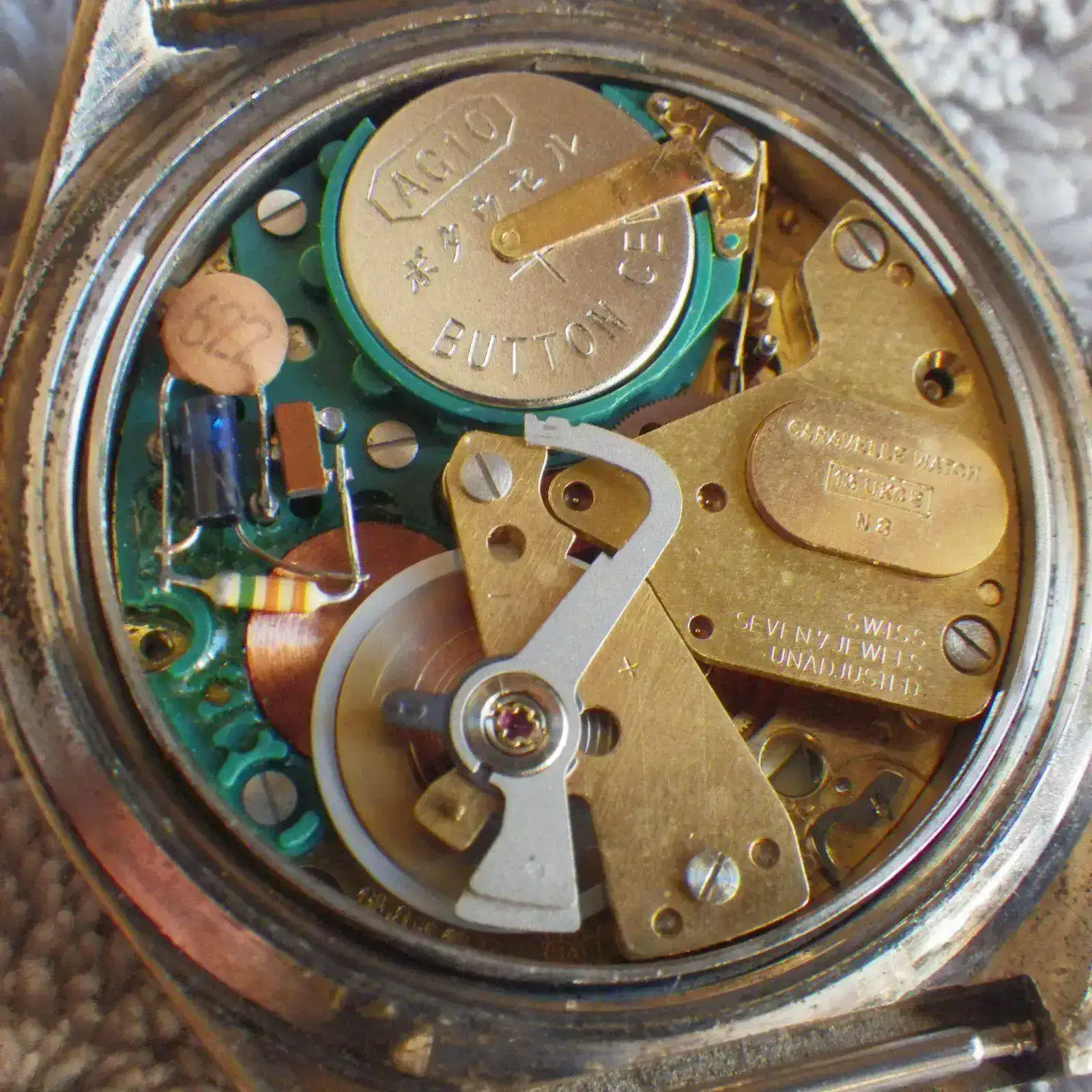 IMGP4523.webp