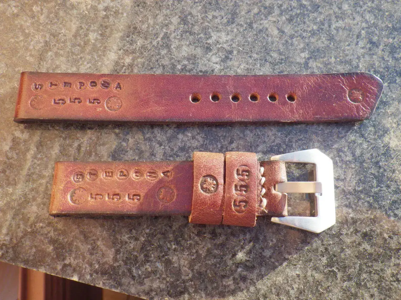 IMGP4528.webp