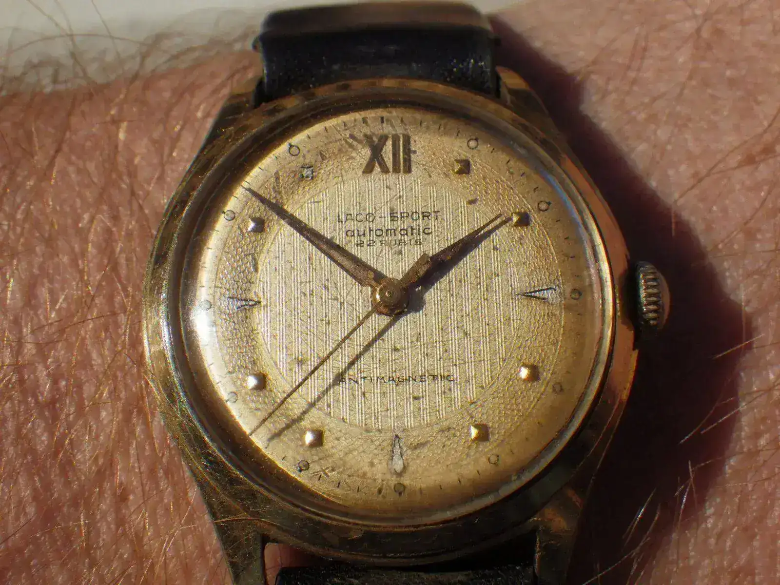 IMGP4552.webp