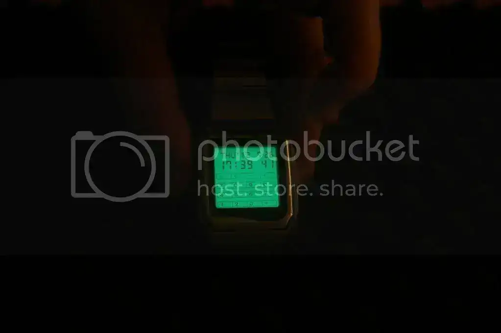 IMGP4556.webp