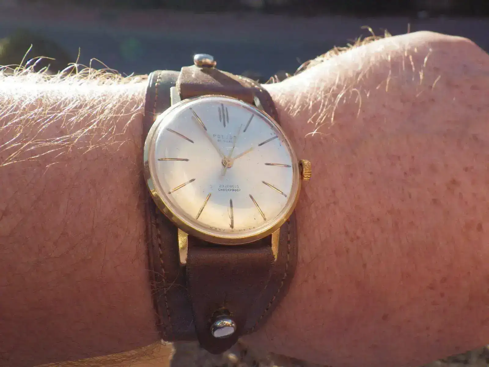 IMGP4577.webp