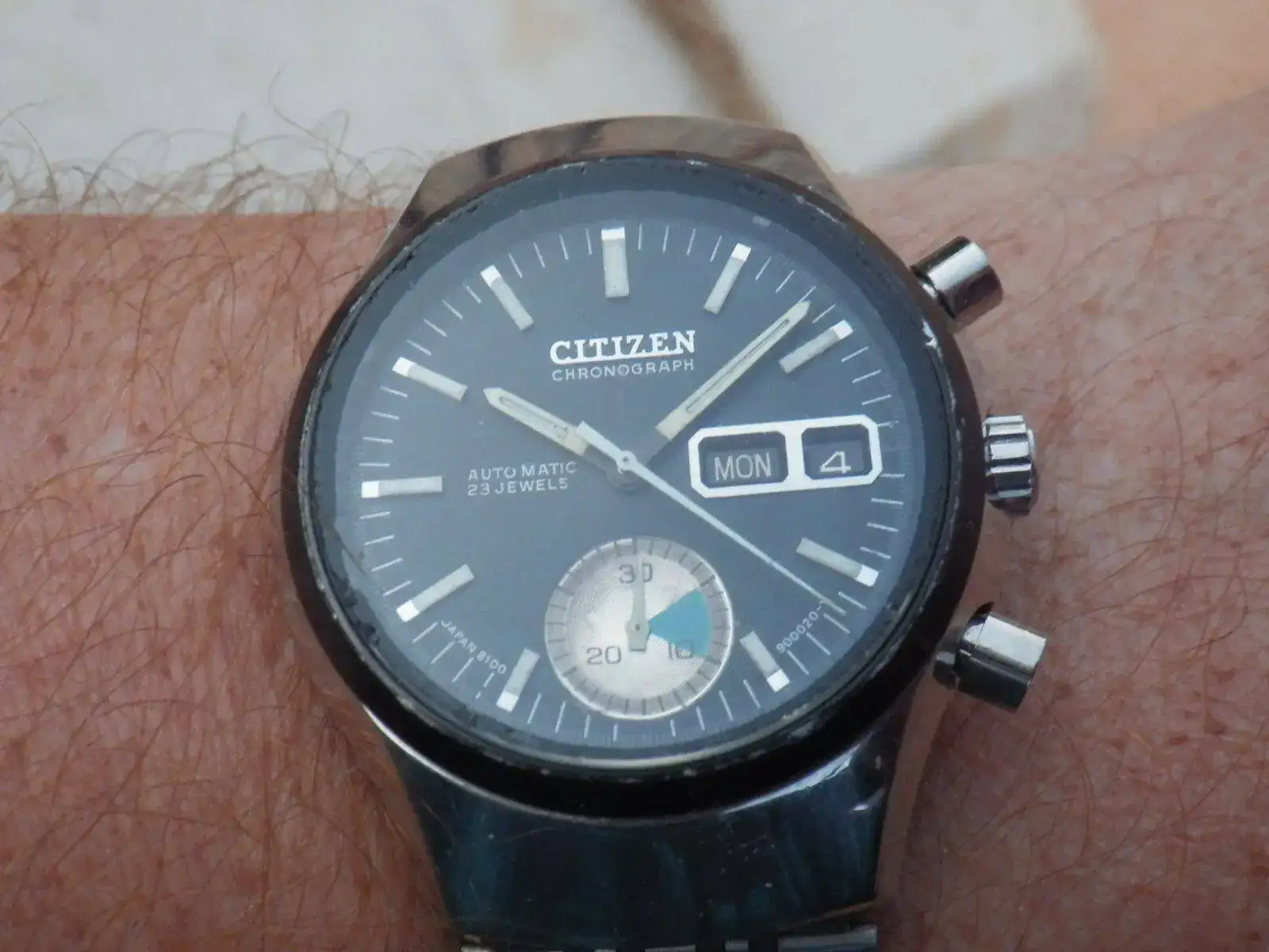 IMGP4579.webp
