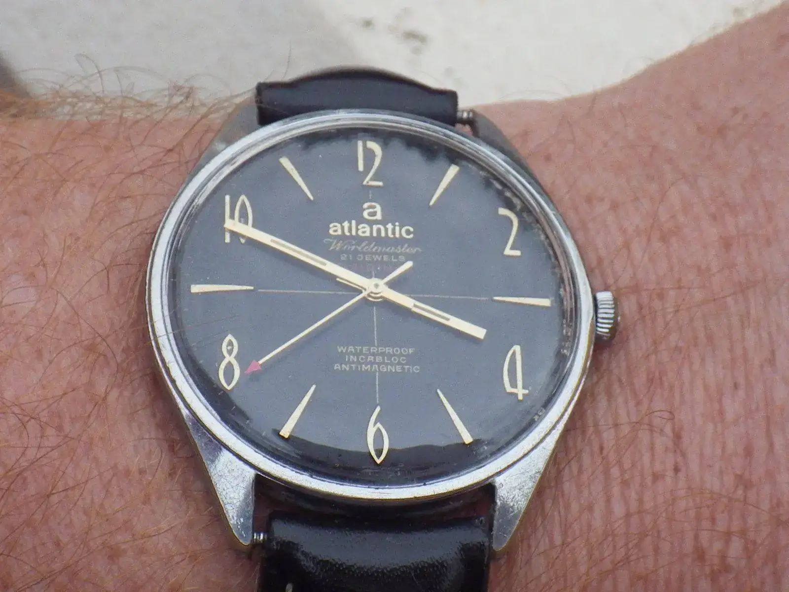 IMGP4588.webp