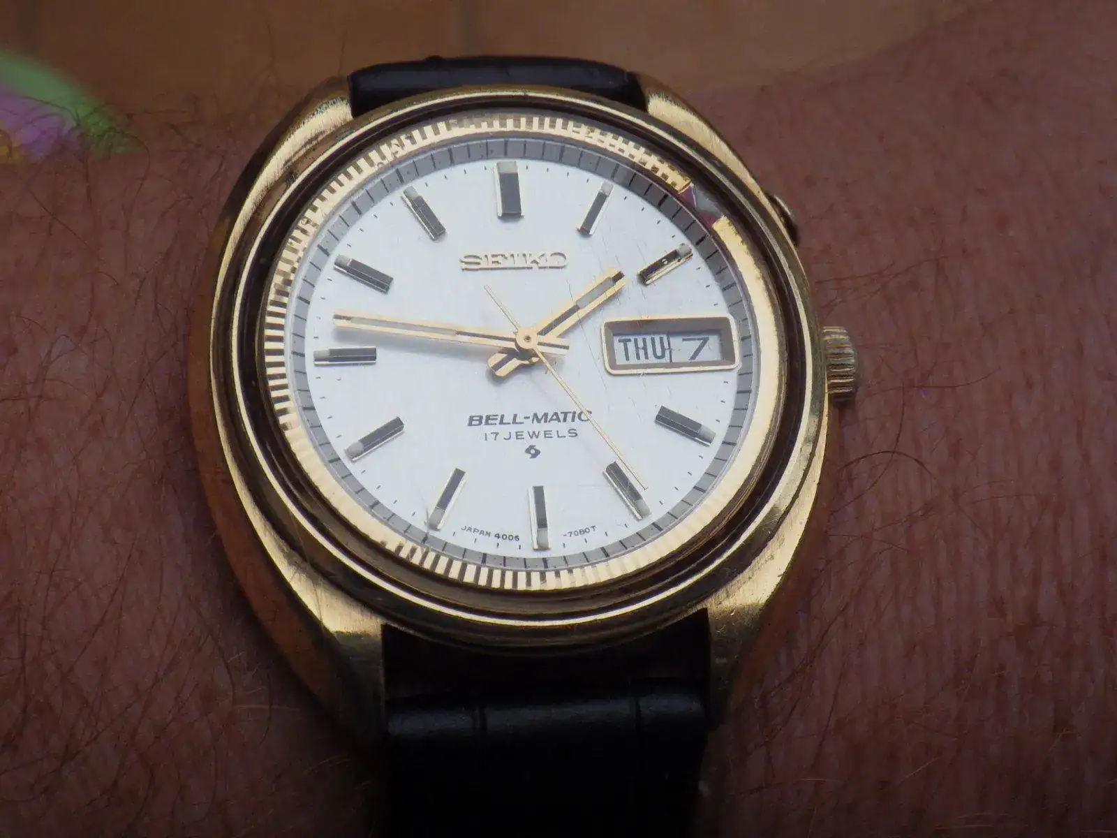 IMGP4593.webp