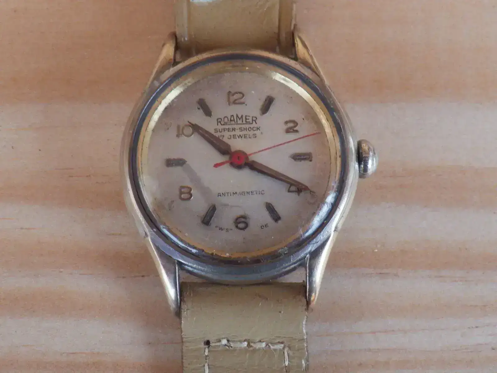 IMGP4599.webp