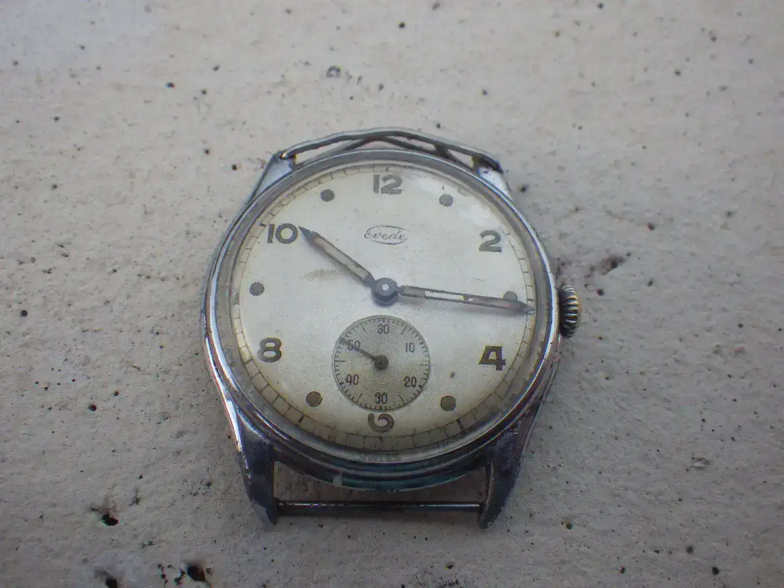 IMGP4608.webp