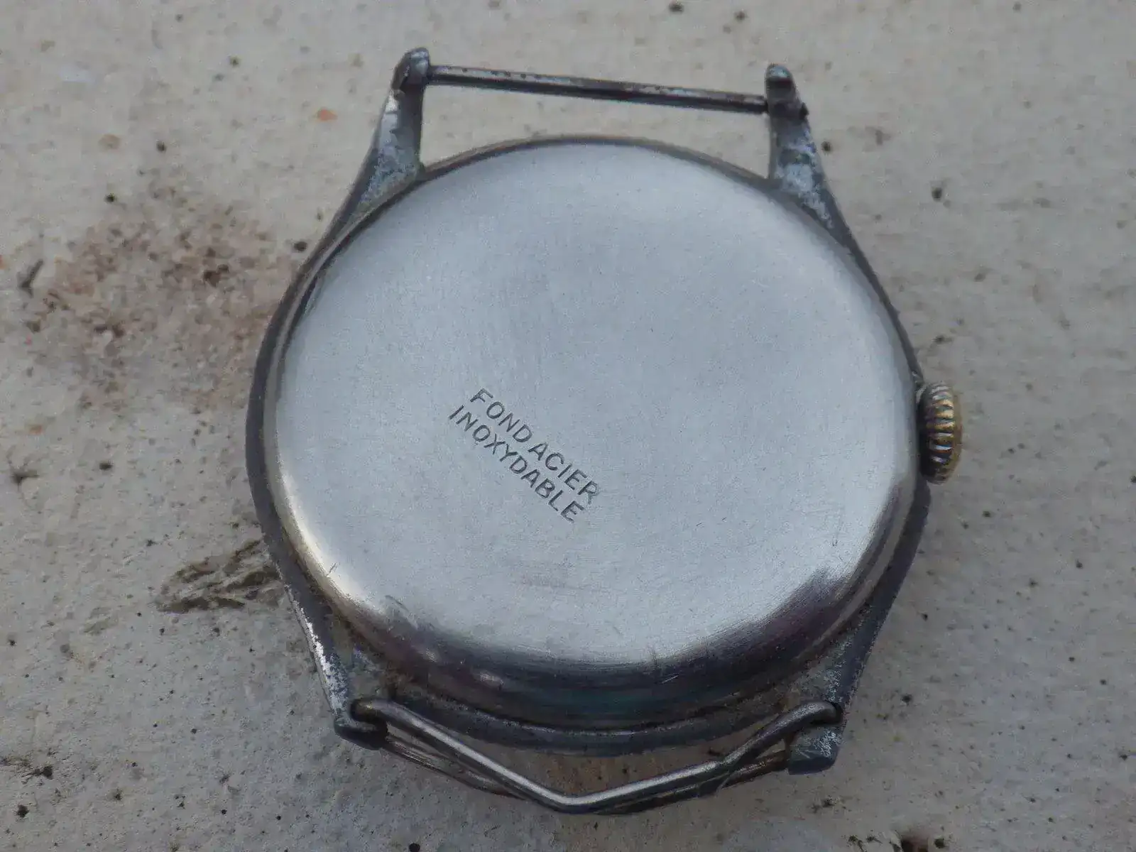 IMGP4610.webp
