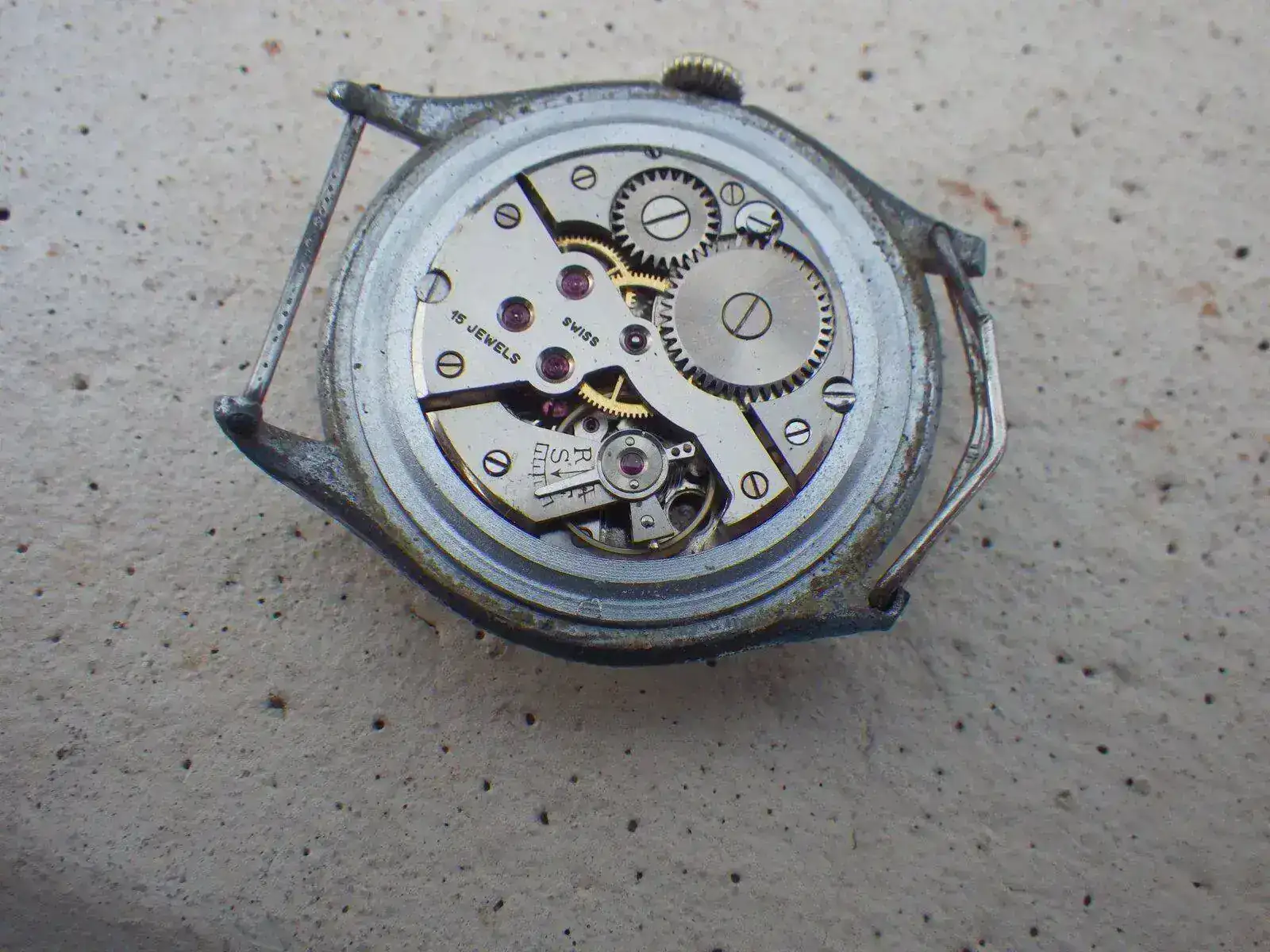 IMGP4614.webp