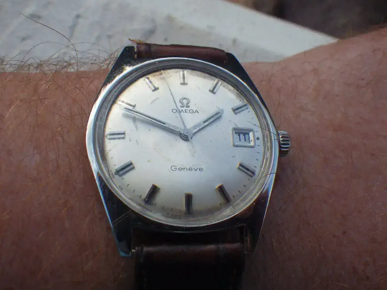 IMGP4628.webp