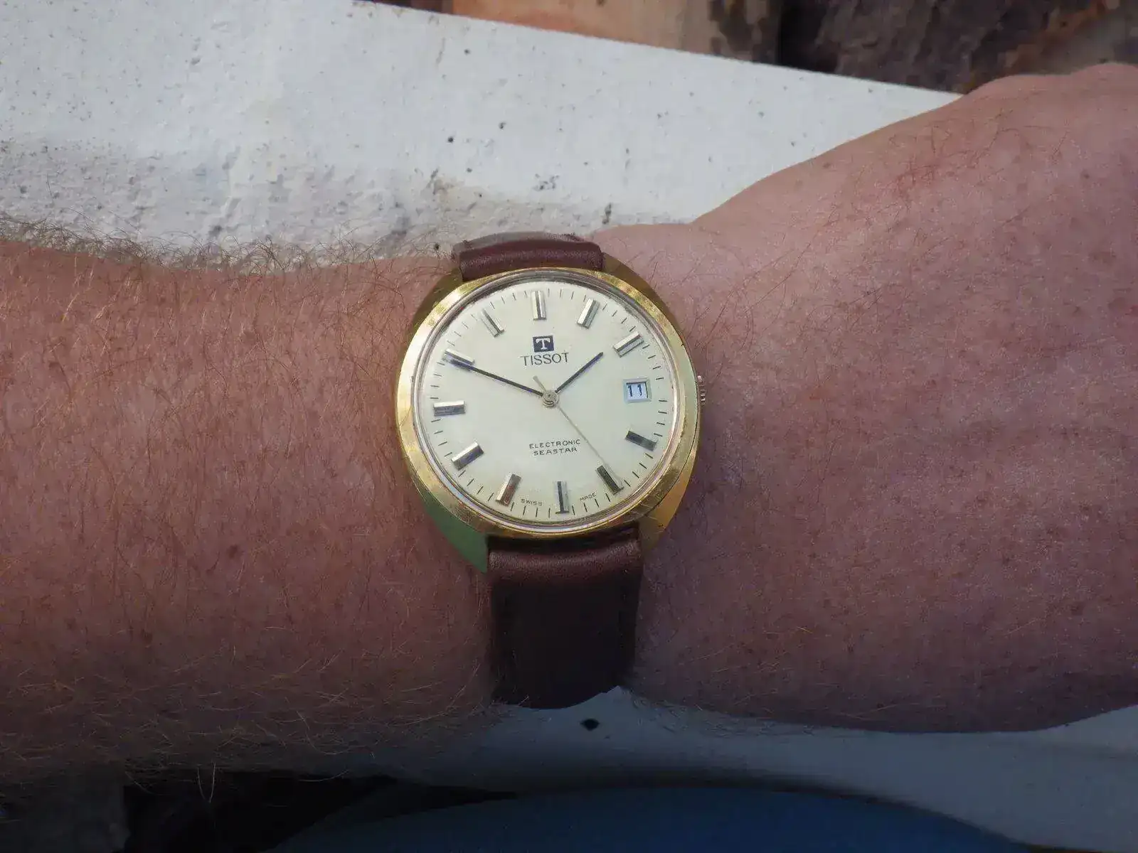 IMGP4632.webp