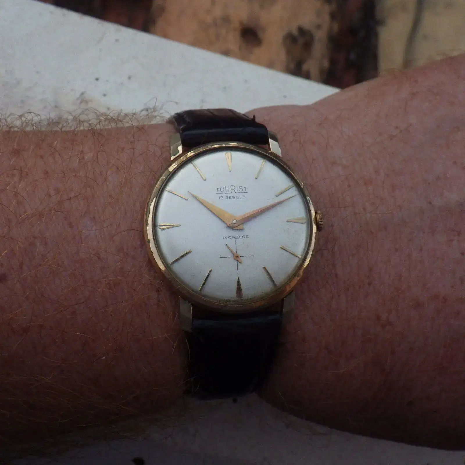 IMGP4671.webp