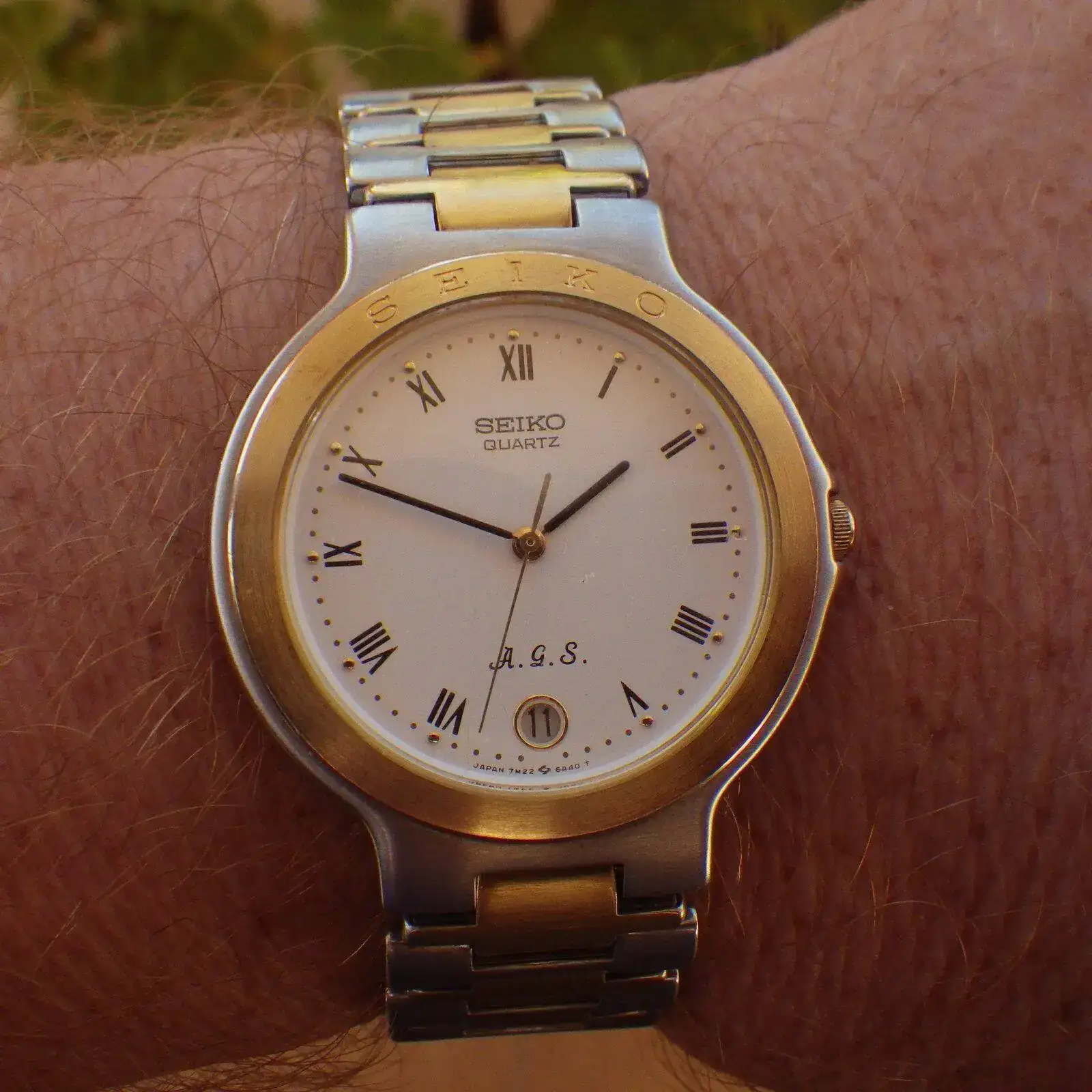 IMGP4688.webp