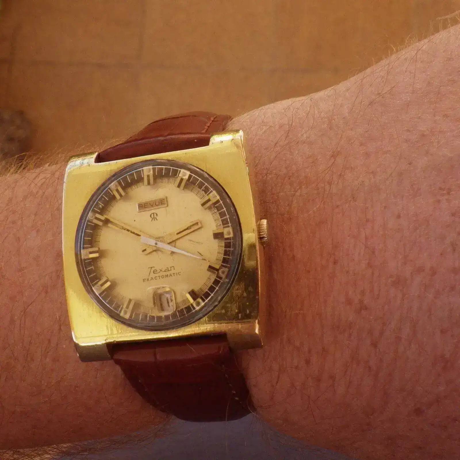 IMGP4717.webp